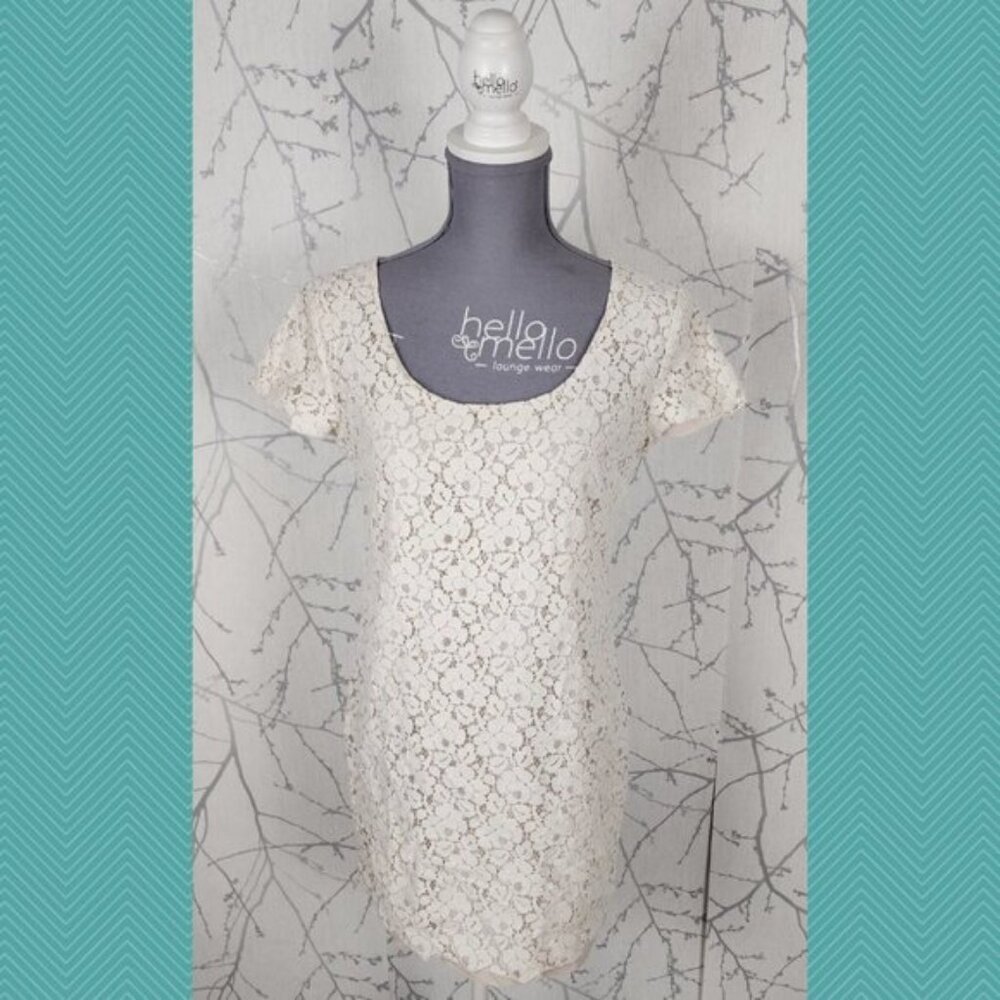 Talula White Ivory Lace Overlay Scoop Neck Sheath Dress